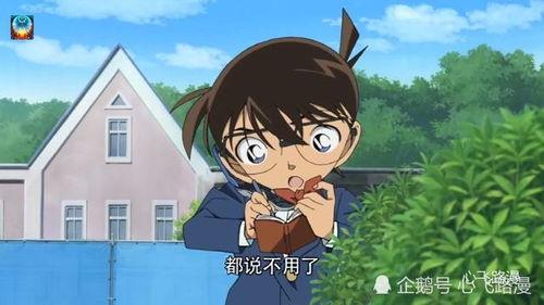 柯南工作室吃瓜