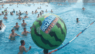 吃瓜冲浪,揭秘网络热点背后的故事