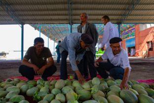 吃瓜商务合作,跨界融合，共创共赢新篇章