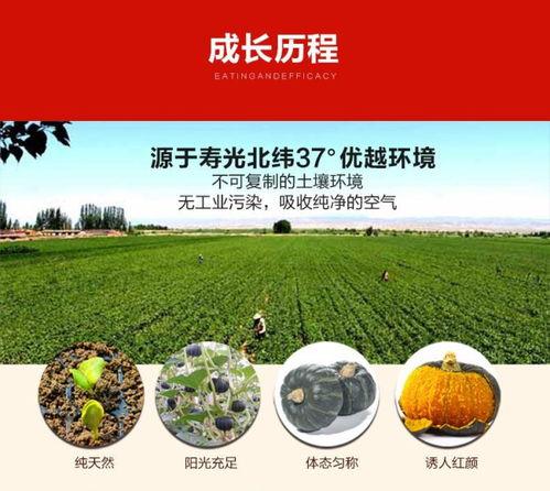 吃瓜商务合作,跨界融合，共创共赢新篇章