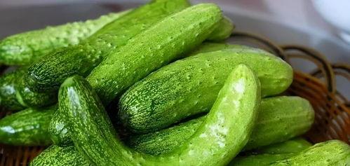 专业吃瓜能量 下载,网络热词背后的文化现象