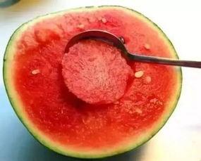 吃瓜就吃红珍珠