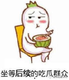 吃瓜事件经过,揭秘背后真相与争议