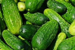 梦见买瓜还吃瓜,瓜果飘香，买瓜吃瓜的奇幻之旅