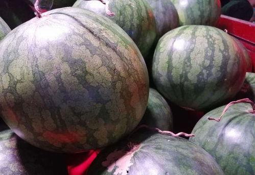 梦见买瓜还吃瓜,瓜果飘香，买瓜吃瓜的奇幻之旅