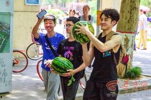 农林大学吃瓜,揭秘校园生活趣味瞬间