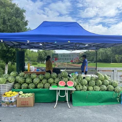 吃瓜群众花海,揭秘娱乐圈幕后风云
