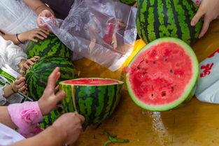 大庆吃瓜视频,揭秘网络热传背后的真实故事