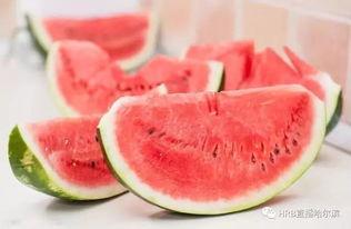 吃瓜直播小瓜子,小瓜子带你领略直播界的瓜香四溢