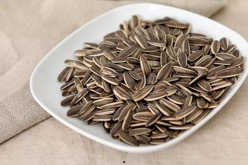 吃瓜直播小瓜子,小瓜子带你领略直播界的瓜香四溢