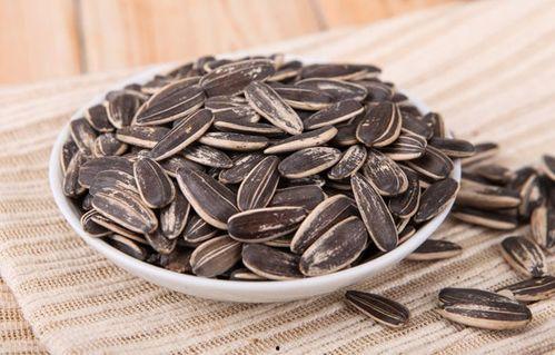 吃瓜直播小瓜子,小瓜子带你领略直播界的瓜香四溢