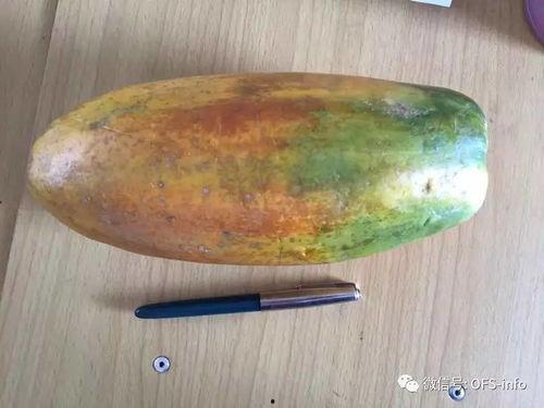 吃瓜的随笔,揭秘娱乐圈背后的故事