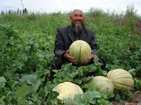 吃瓜稀缺,揭秘吃瓜稀缺背后的秘密