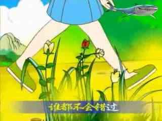 吃瓜系列故事视频,揭秘吃瓜系列视频背后的精彩世界