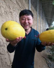 普陀融媒吃瓜,揭秘吃瓜群众的快乐源泉