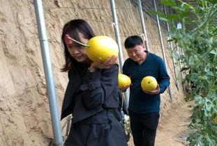 普陀融媒吃瓜,揭秘吃瓜群众的快乐源泉