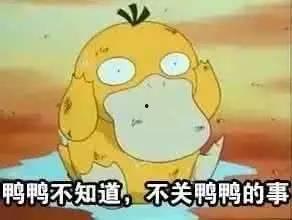 快乐吃瓜鸭,揭秘娱乐圈幕后故事