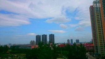 南阳理工吃瓜,一场吃瓜盛宴背后的真相揭秘