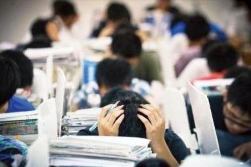 江苏母子高考吃瓜,一场特殊的“吃瓜”之旅