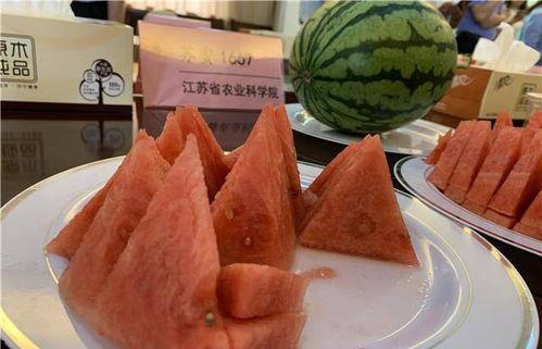 苏朱吃瓜,揭秘娱乐圈背后的那些事儿