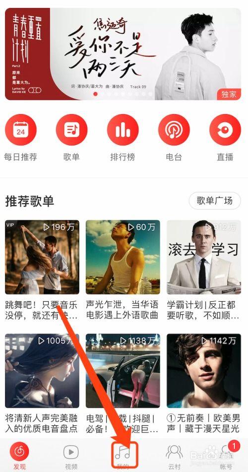 吃瓜网易云歌单