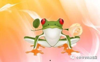 吃瓜青蛙国王,吃瓜青蛙国王的奇幻宫廷生活