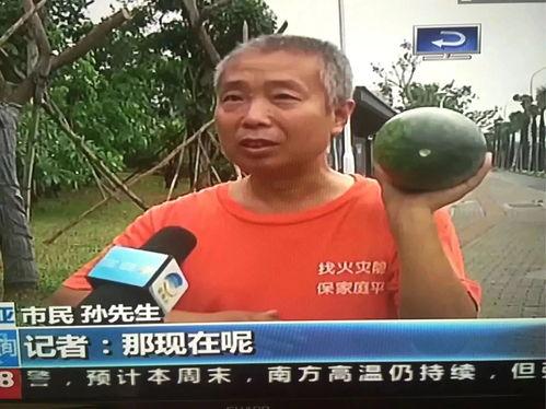 临海吃瓜群众事件最新,网络热议背后的真相与反思