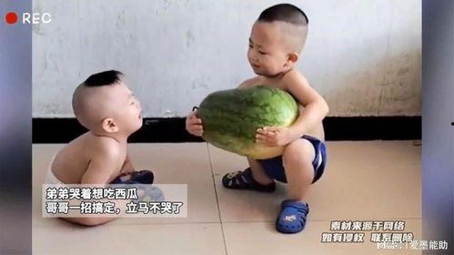 吃瓜吃到自己亲哥,一场意外的家庭风波