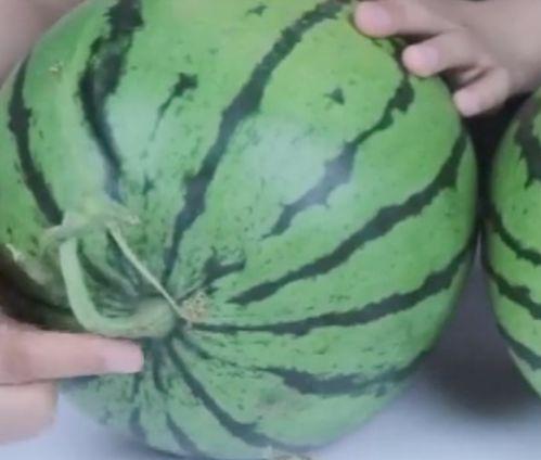 人间真实系列吃瓜图片