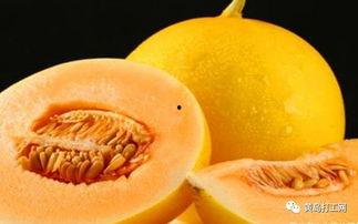 喝多了吃蜜瓜,酒后美食新选择