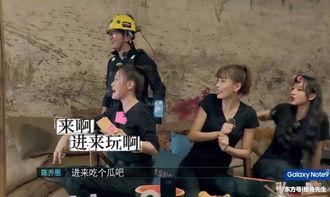 被吃瓜群众围攻,被围攻的明星如何应对网络暴力