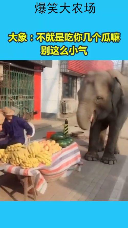 吃瓜乱象,网络舆论场中的是非曲直