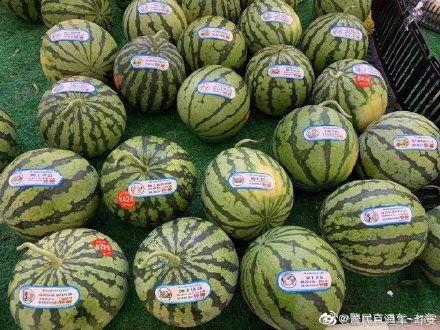 反吃瓜联盟是什么