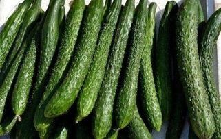 吃密瓜减肥吗,夏日消暑又瘦身，轻松享“瘦”生活