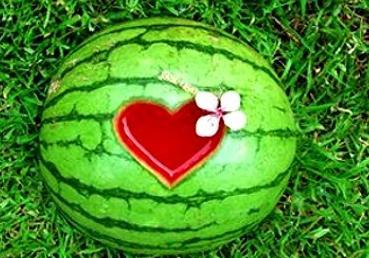 梦见很多瓜都在吃,瓜果飘香，尽享丰收盛宴